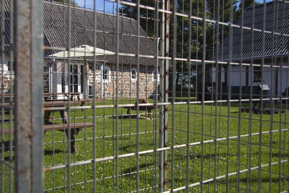 the yard_4682
